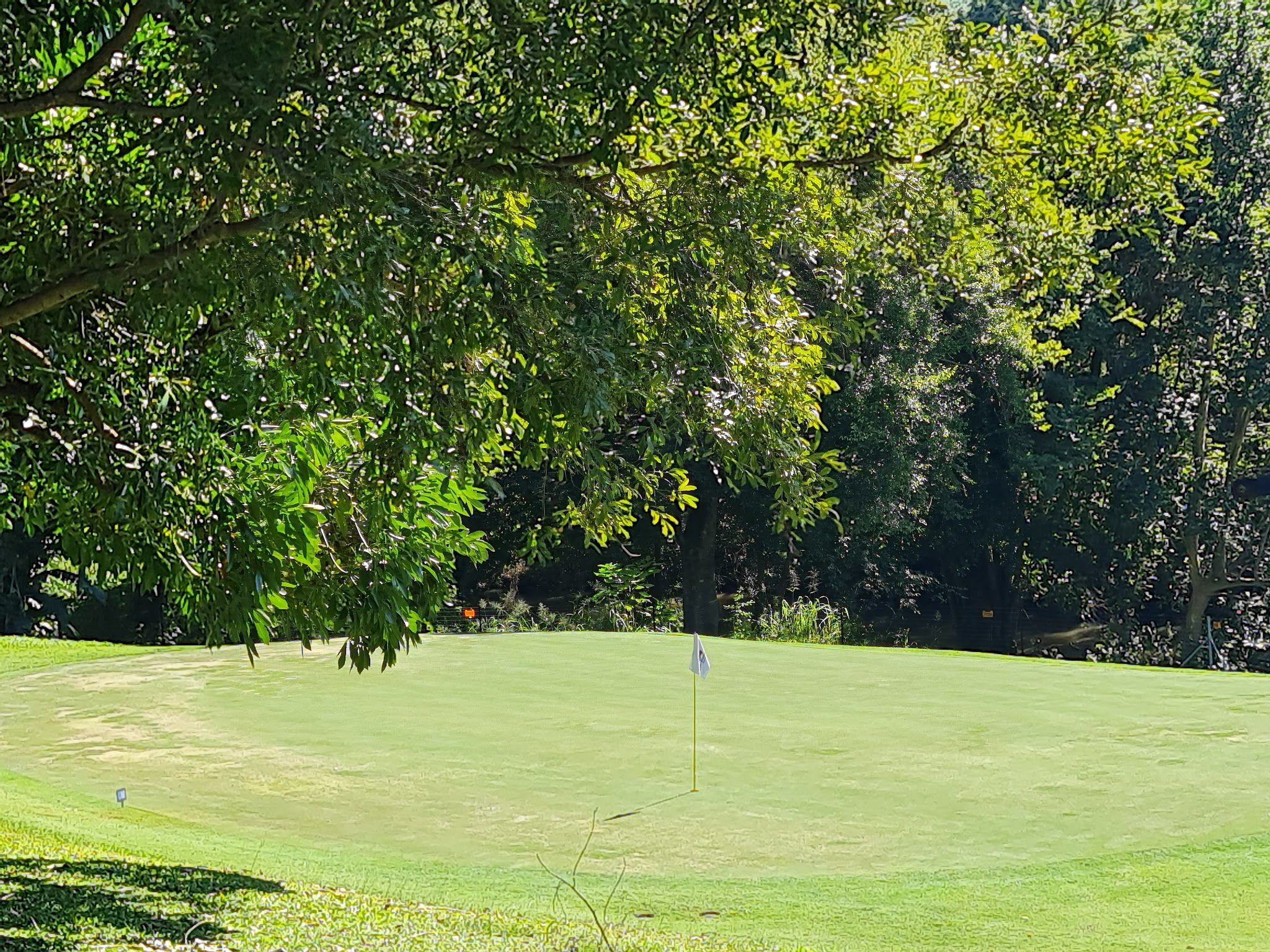 Ball Game, Sport, Golfing, Sabi River Sun Resort Golf Course, R536, Sabie, 1242