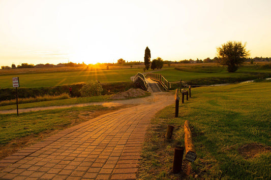 Ball Game, Sport, Golfing, Sepia Tones, Bronkhorstspruit Golf Club, 2 Eland St, Bronkhorstspruit, 1020