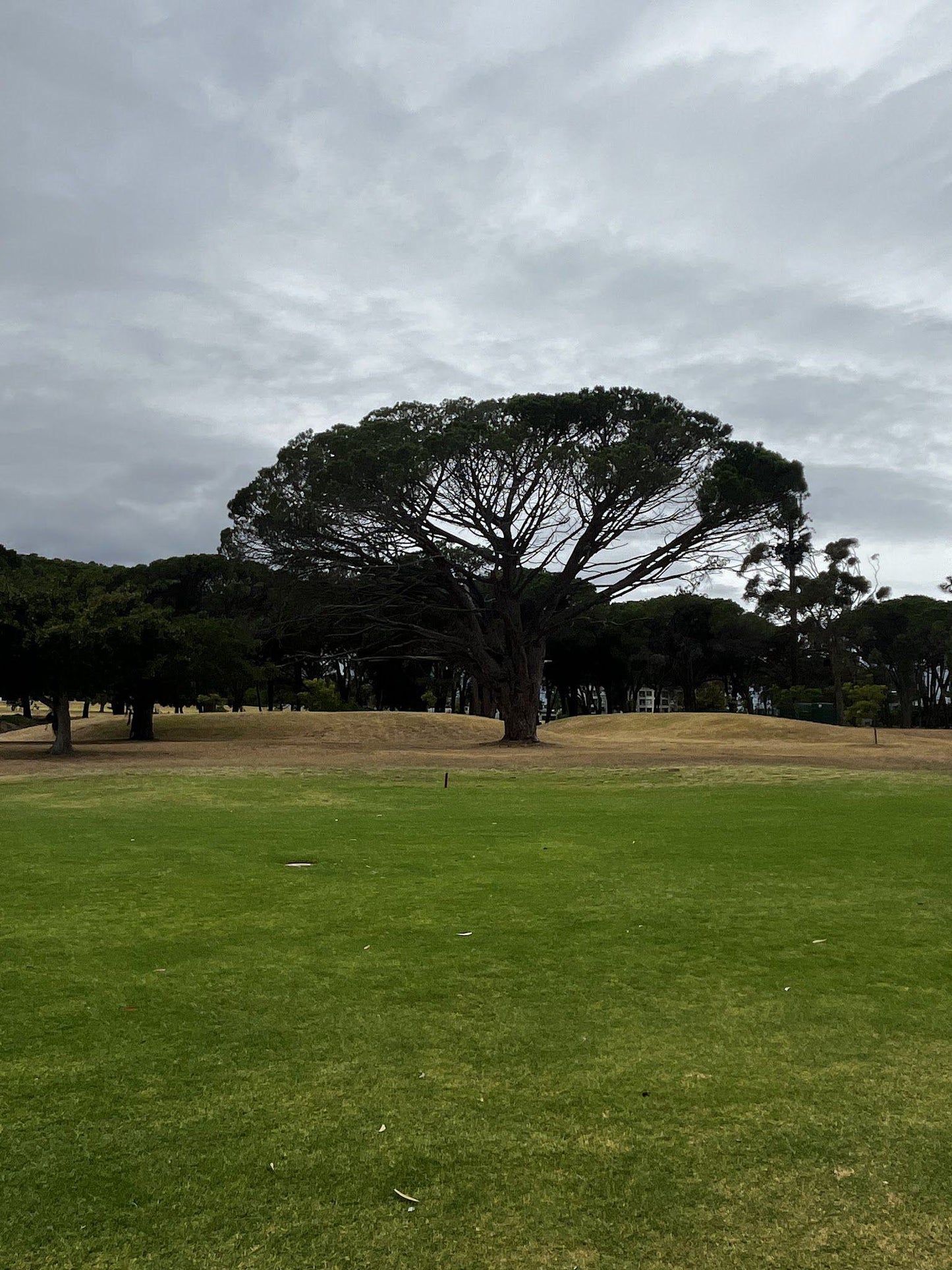 Ball Game, Sport, Golfing, Somerset West Golf Club, Rue De Jacqueline, Somerset West Country Club, Cape Town, 7130