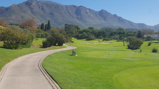 Ball Game, Sport, Golfing, Steenberg Villa, 53 Tokai Rd, Kirstenhof, Cape Town, 7945