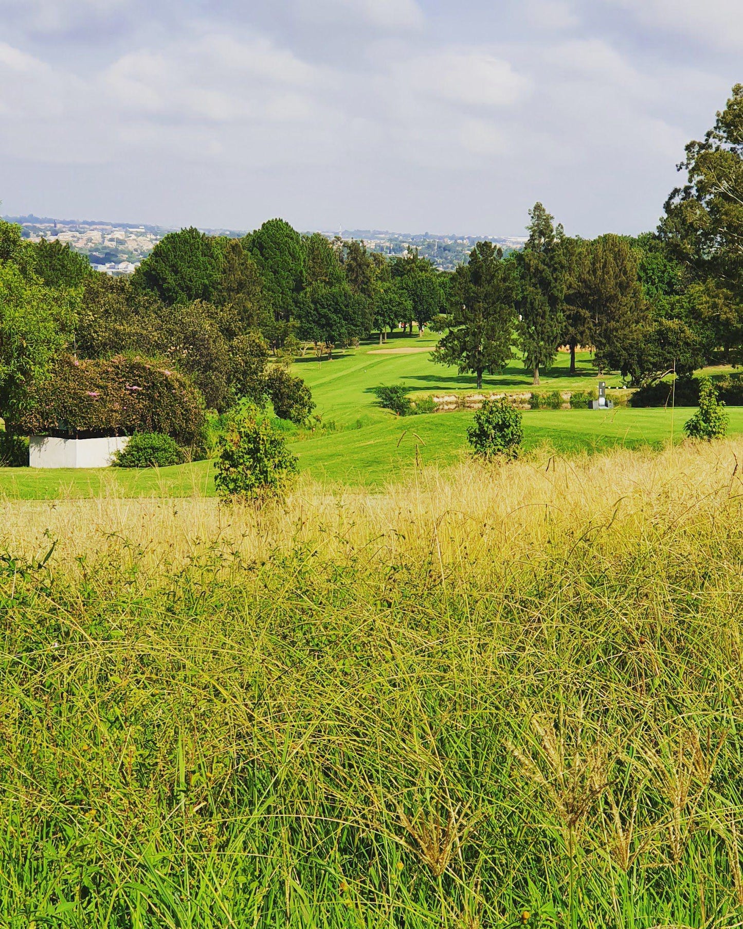 Ball Game, Sport, Golfing, The Bryanston Country Club, 63 Bryanston Dr, Bryanston, Sandton, 2191