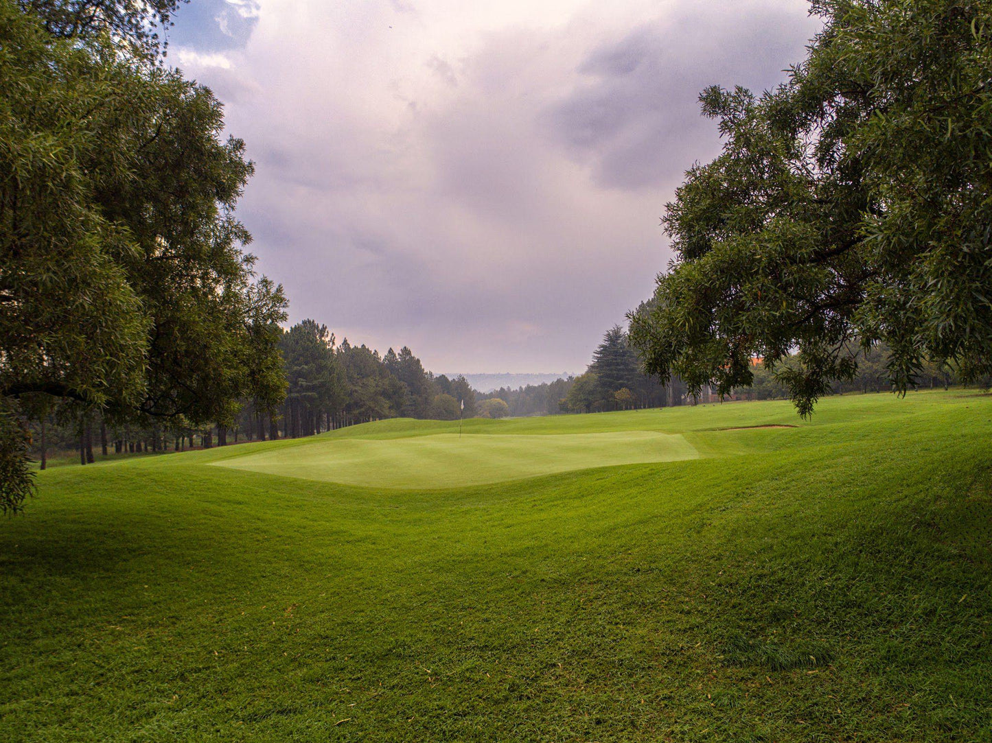 Ball Game, Sport, Golfing, The Country Club Johannesburg, Woodmead, Lincoln St, Woodmead, Sandton, 2128