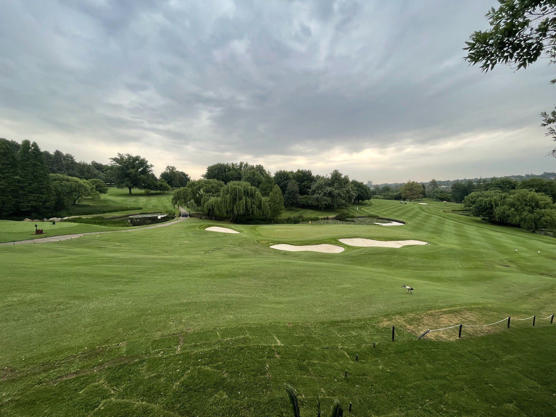 Ball Game, Sport, Golfing, The River Club Golf Course, Links Rd, Driefontein 41-Ir, Sandton, 2191