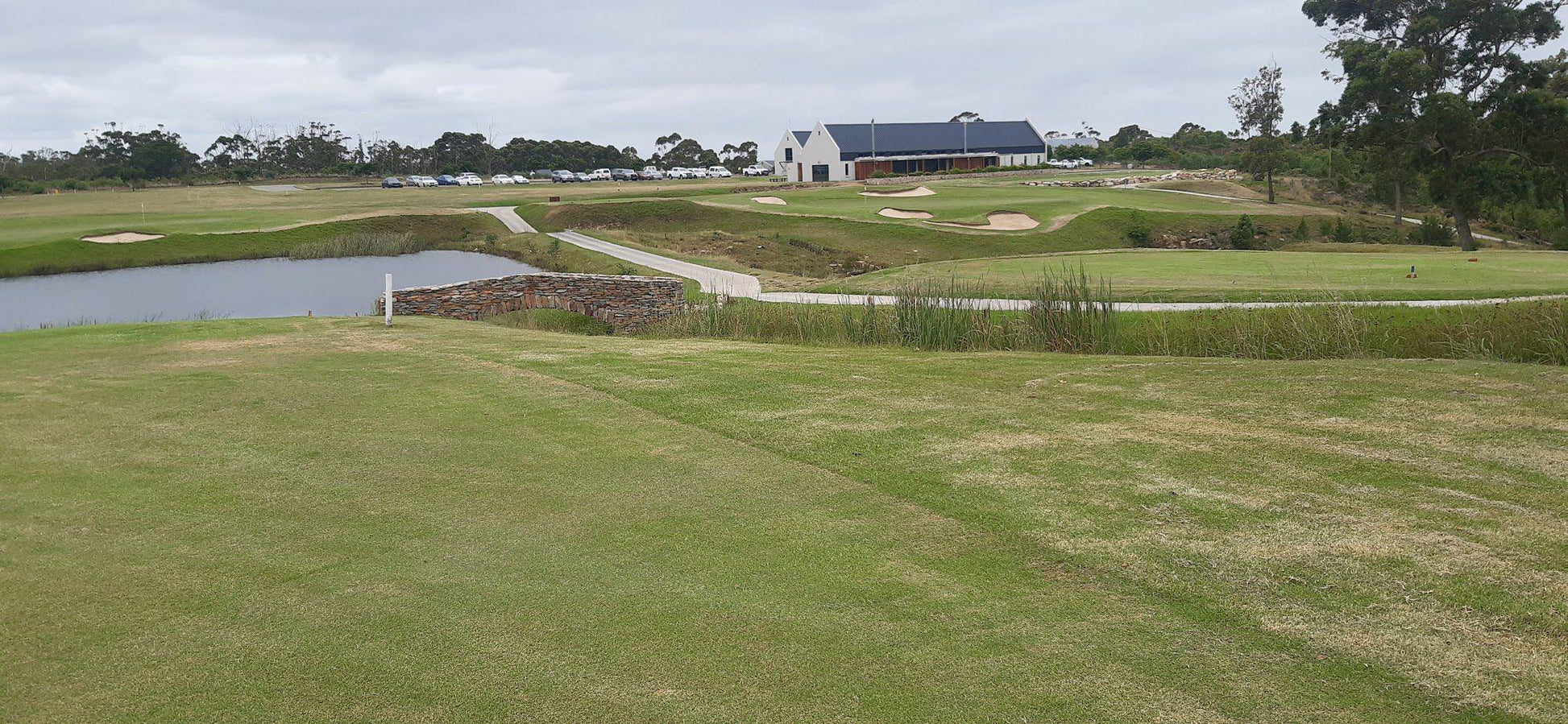 Ball Game, Sport, Golfing, Wedgewood Clubhouse, Unnamed Road, Wedgewood Golf Estate, Gqeberha, 6390