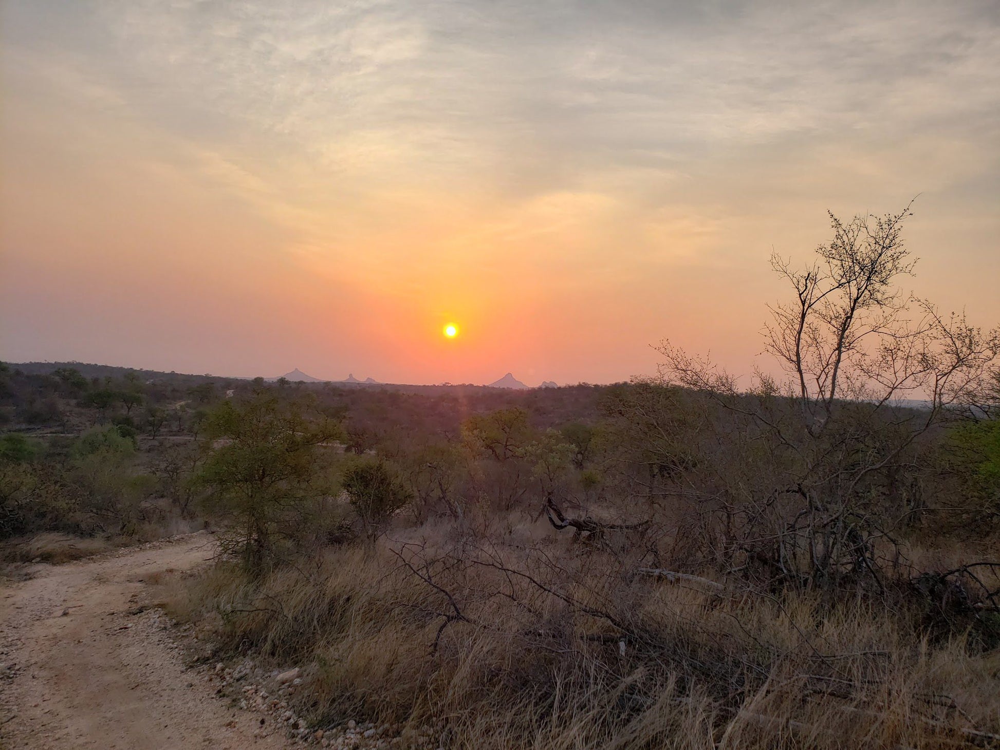  Balule Game Reserve