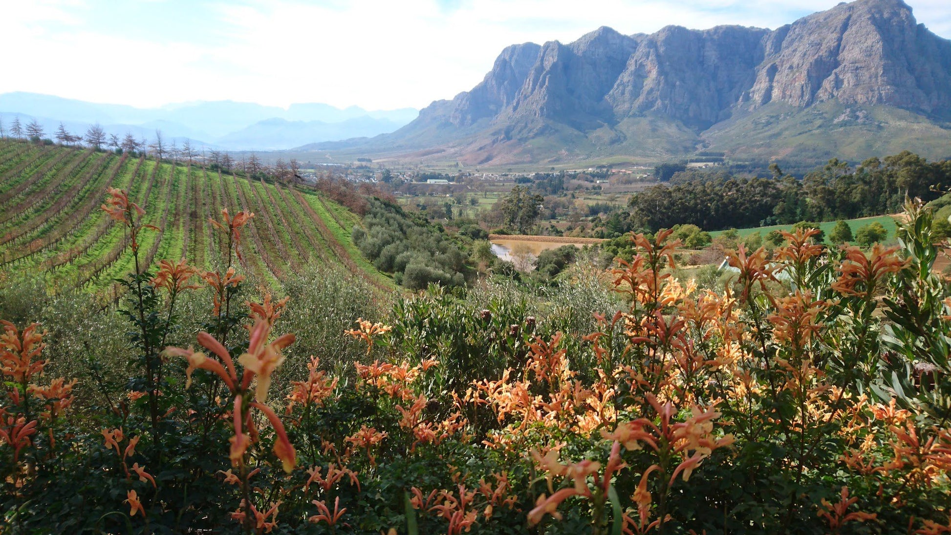  Banhoek Conservancy