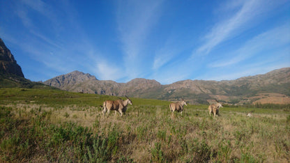  Banhoek Conservancy