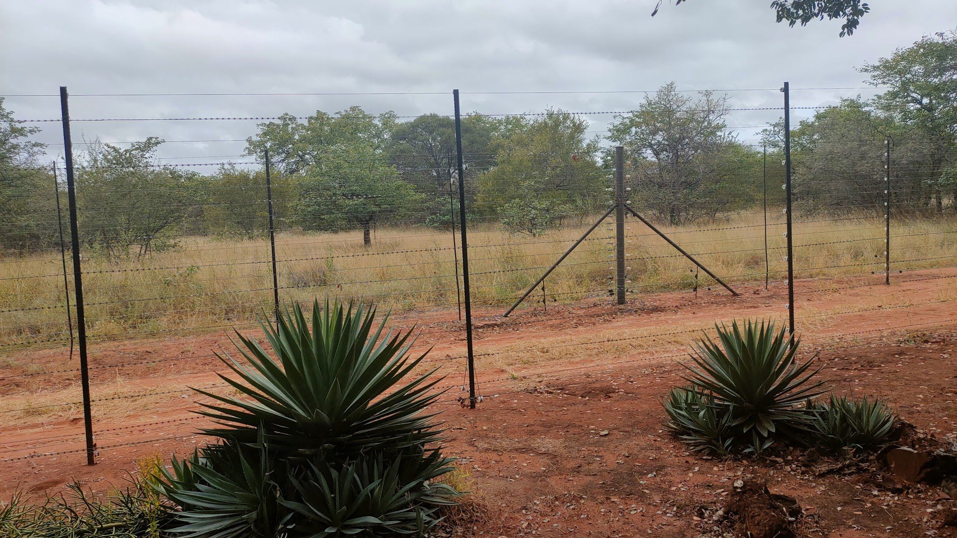  Baobab Tree Reserve