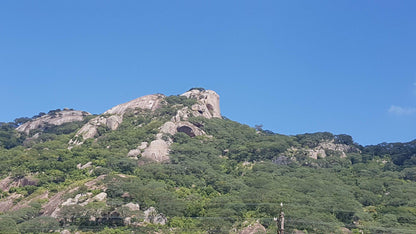  Baobab Tree Reserve