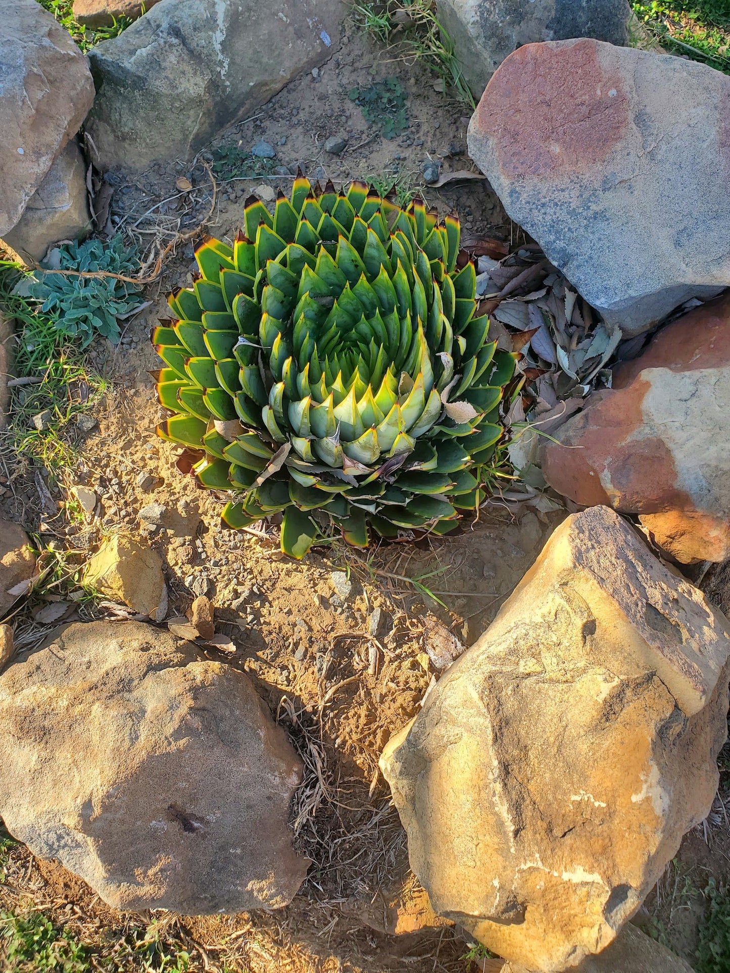  Basotho Cultural Village