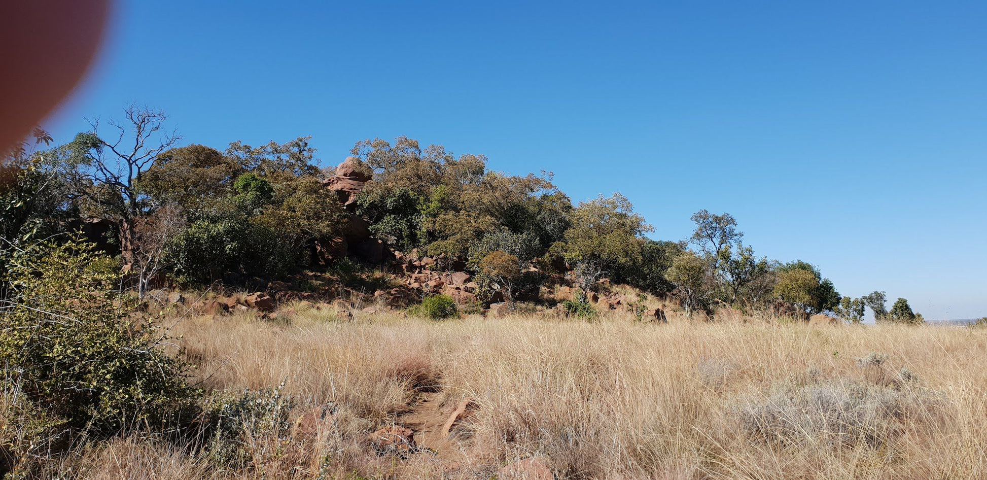  Bateleur Nature Reserve