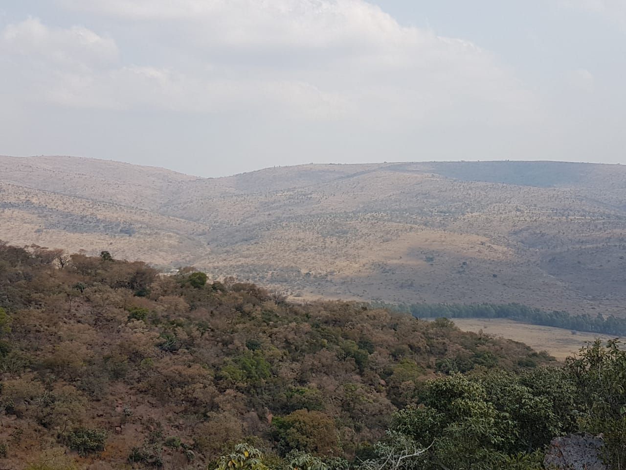  Bateleur Nature Reserve