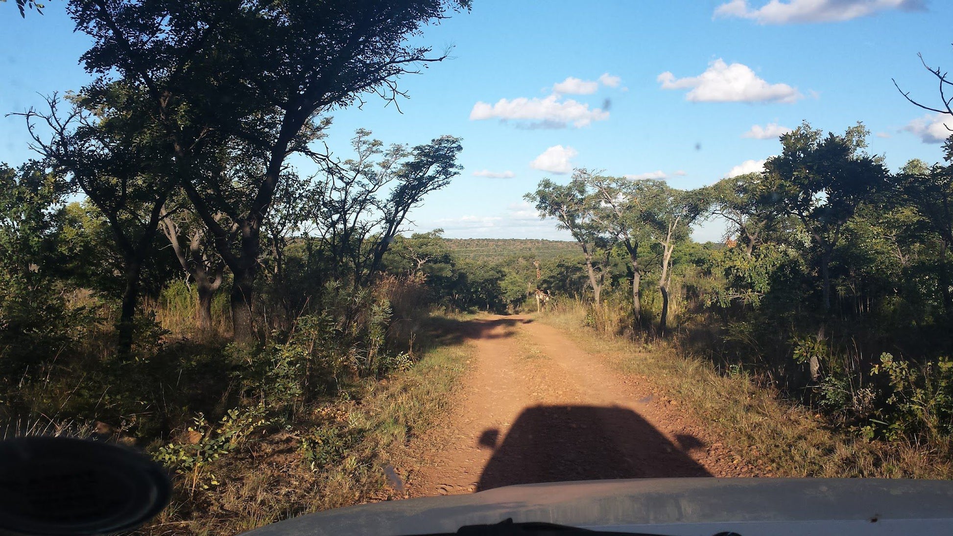  Bateleur Nature Reserve