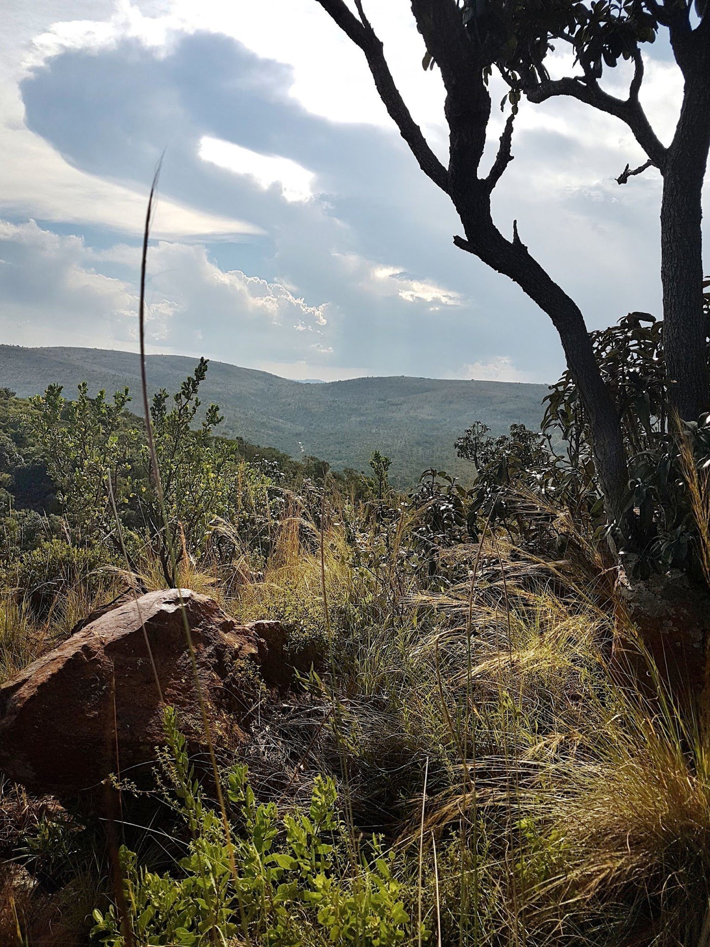  Bateleur Nature Reserve