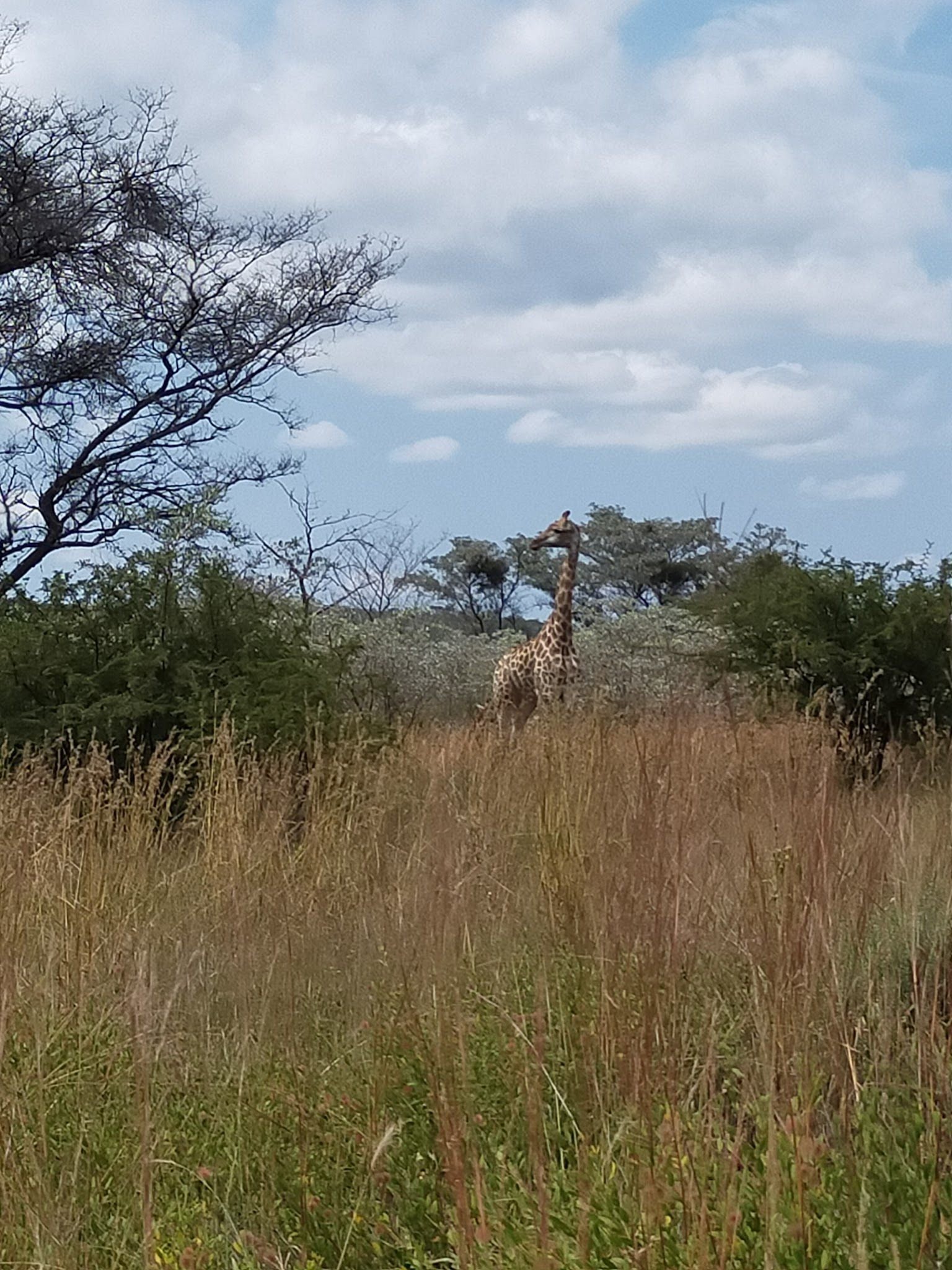  Bateleur Nature Reserve