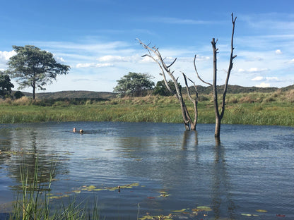  Bateleur Nature Reserve