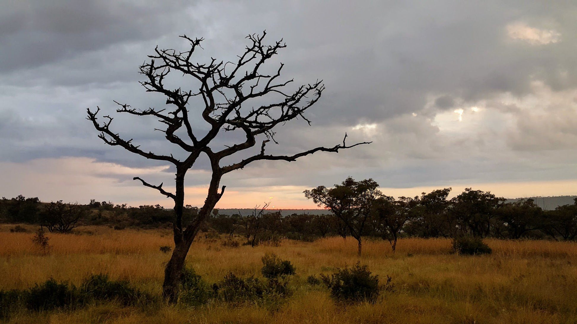  Bateleur Nature Reserve