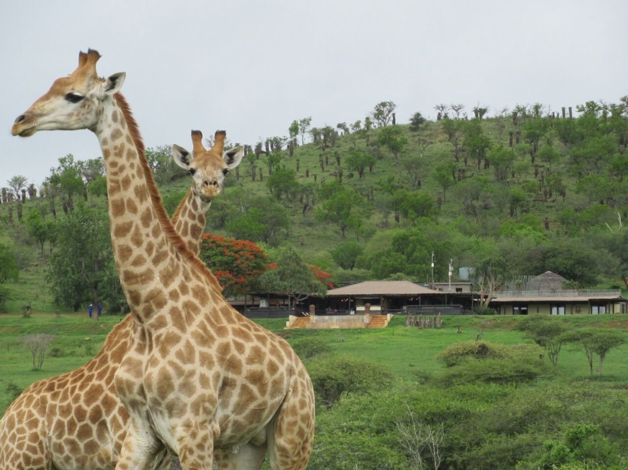  Bayete Zulu Lodges