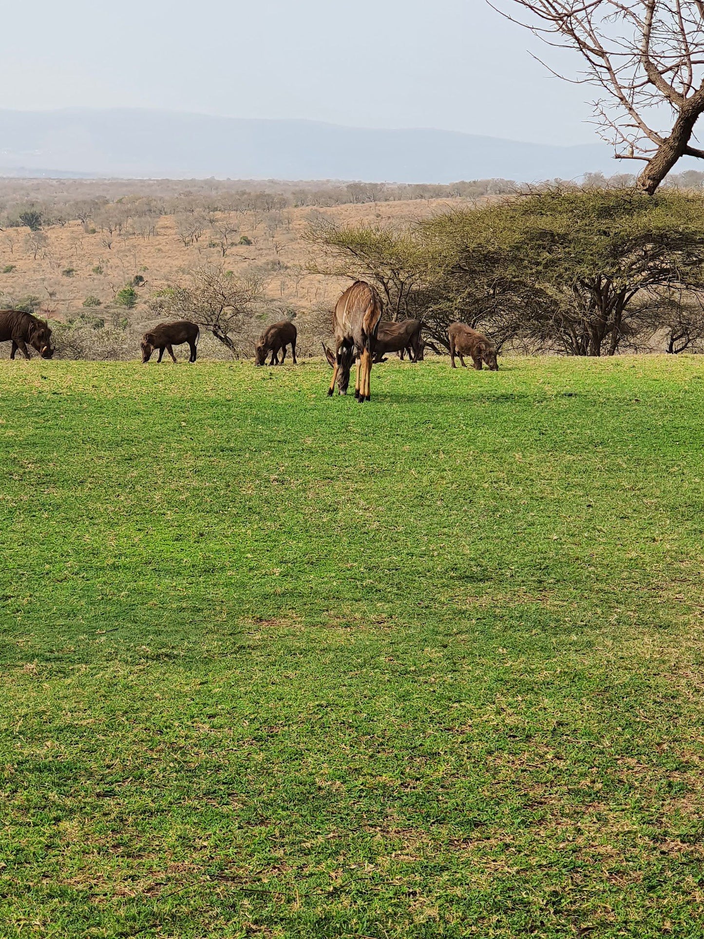  Bayete Zulu Lodges