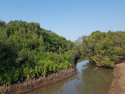  Beachwood Mangroves Nature Reserve