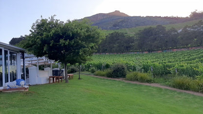  Beau Constantia