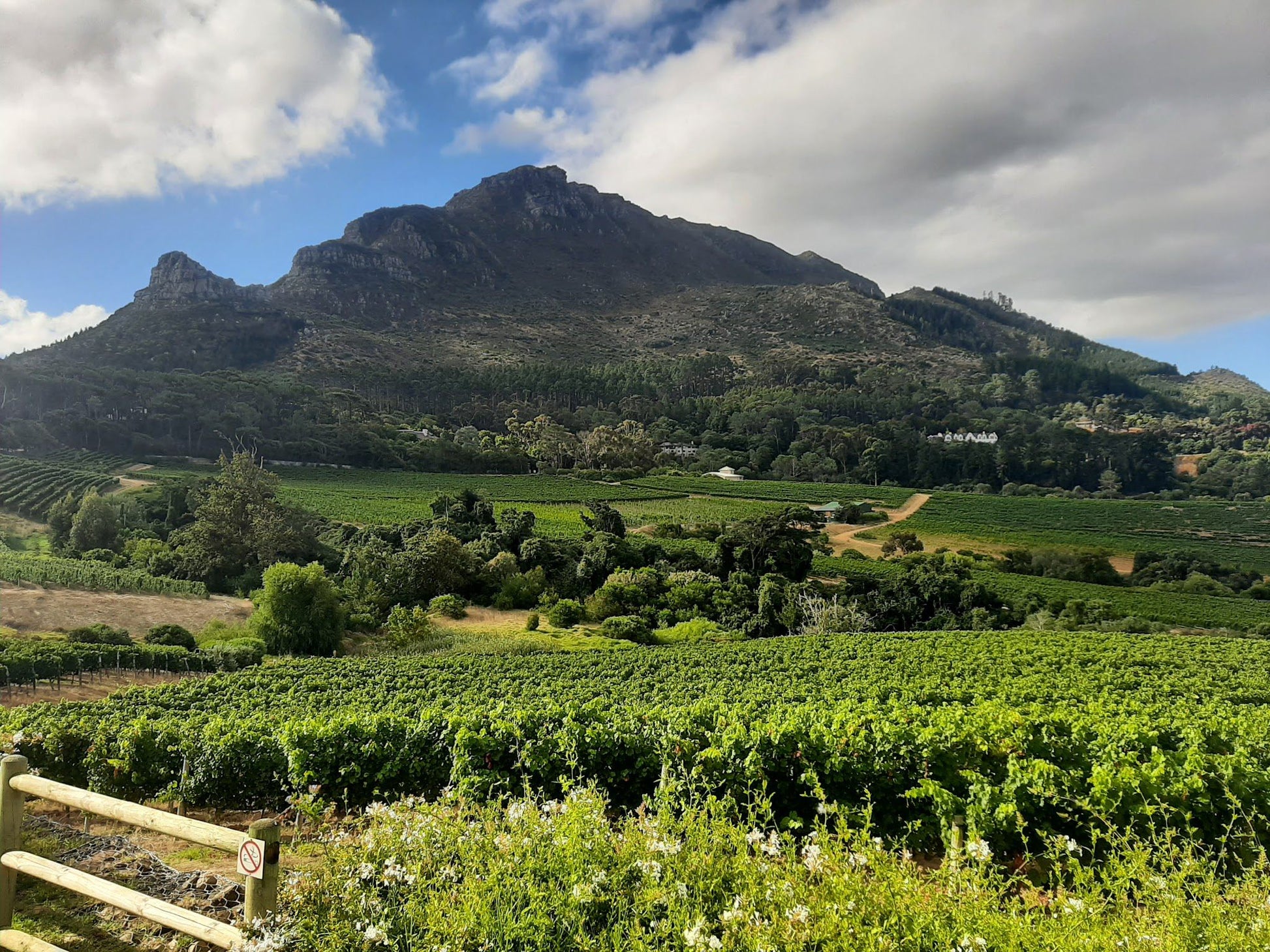  Beau Constantia