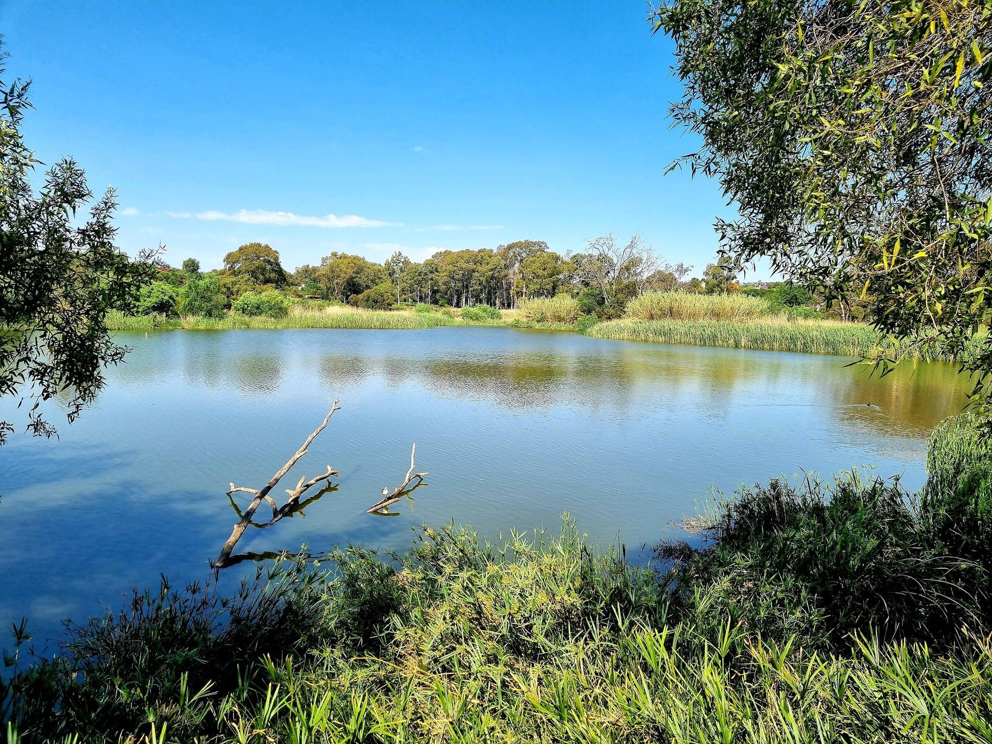  Beaulieu Bird Sanctuary