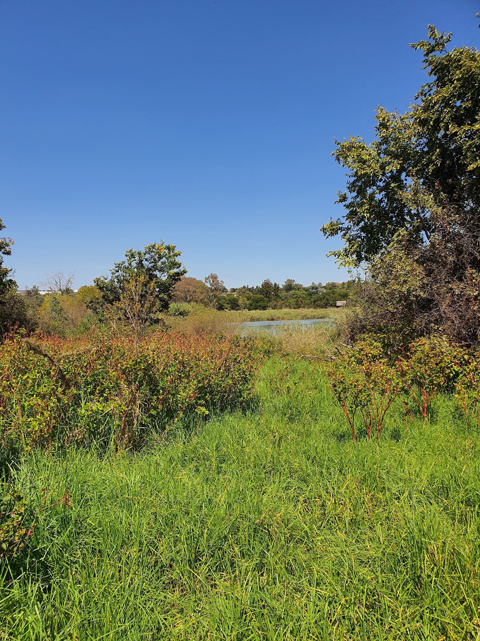  Beaulieu Bird Sanctuary