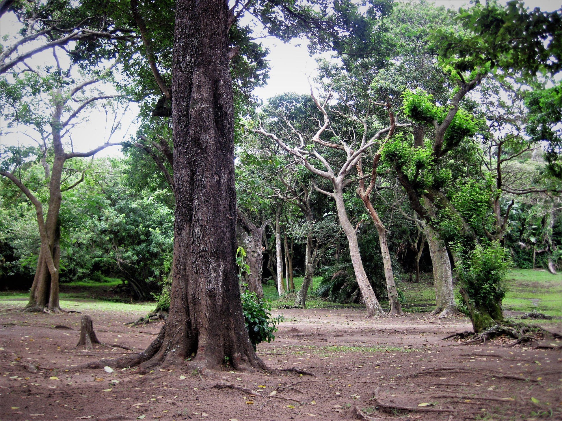  Bendigo Nature Reserve