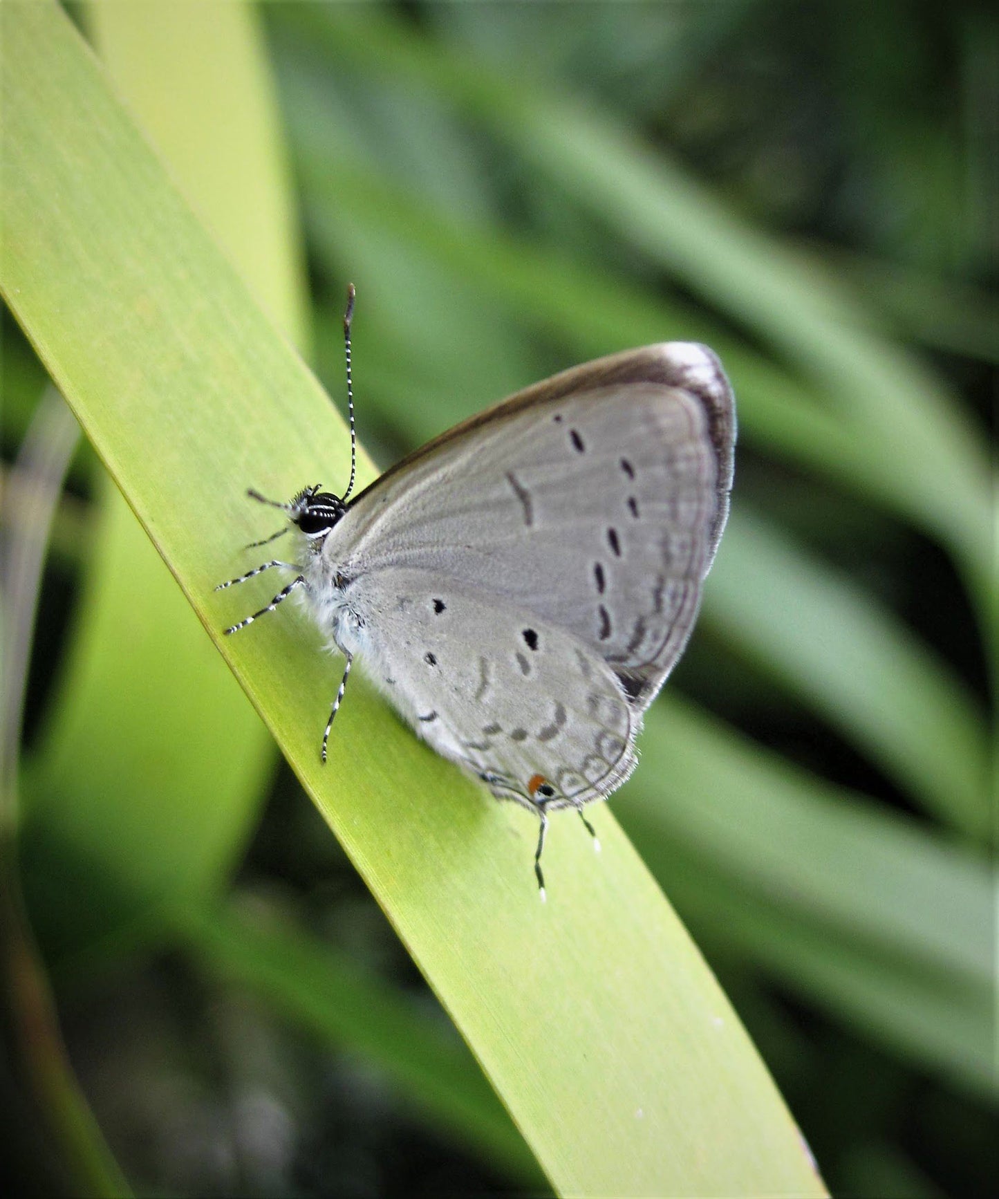  Bendigo Nature Reserve