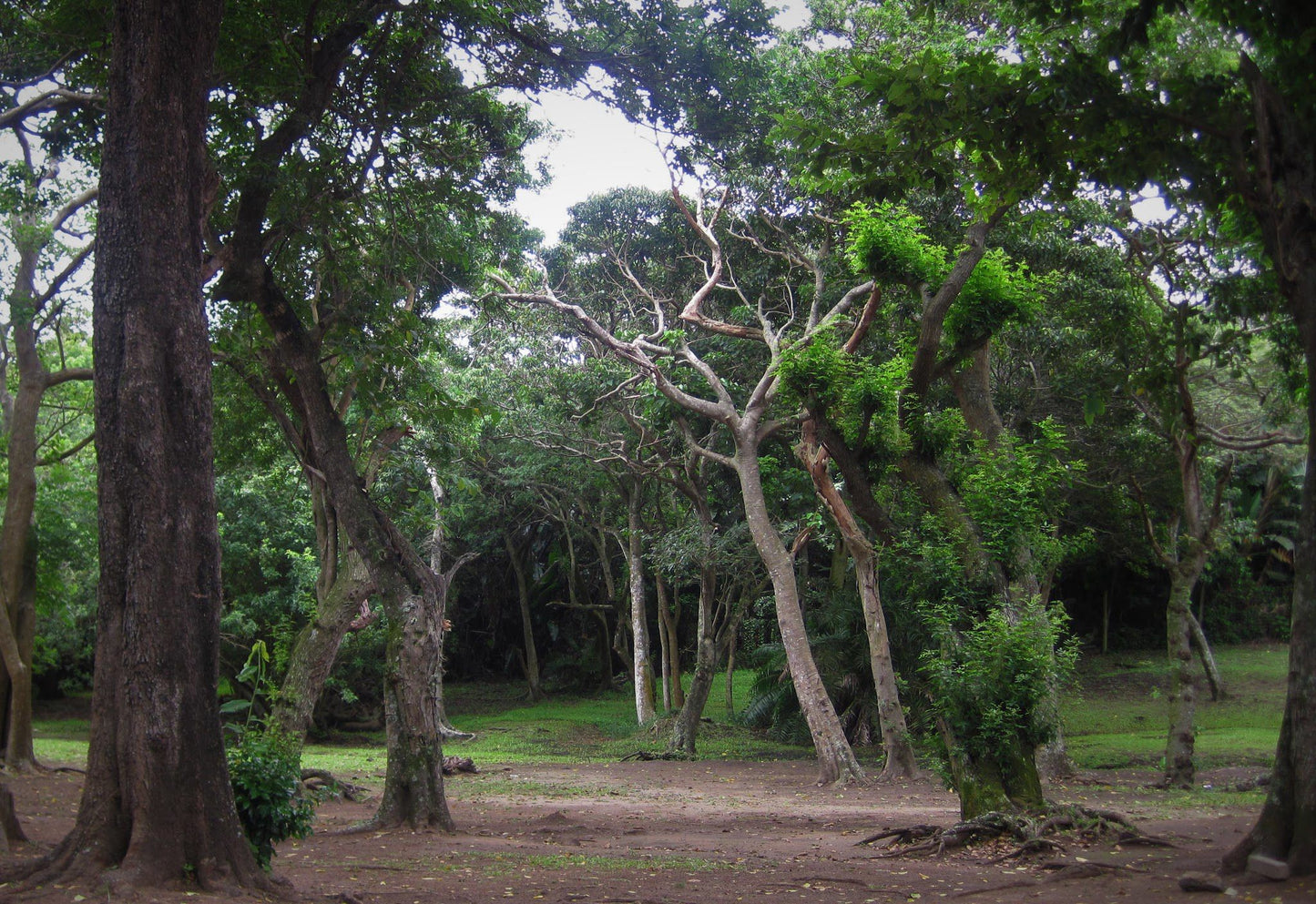  Bendigo Nature Reserve