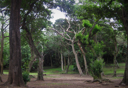  Bendigo Nature Reserve