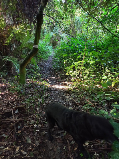  Bendigo Nature Reserve