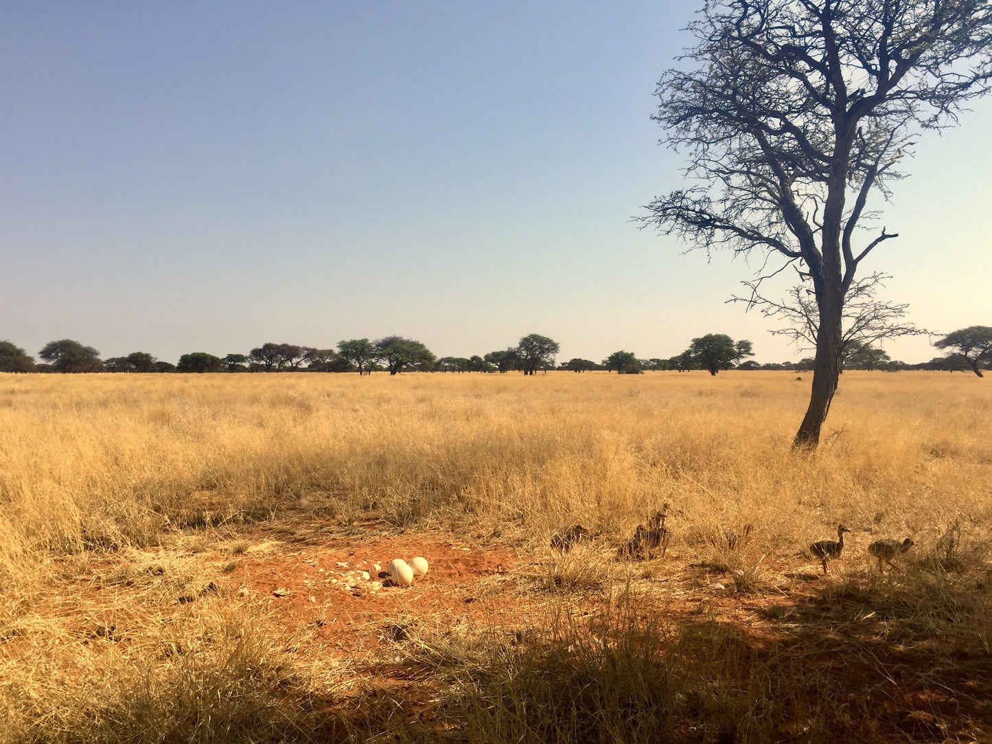  Benfontein Nature Reserve