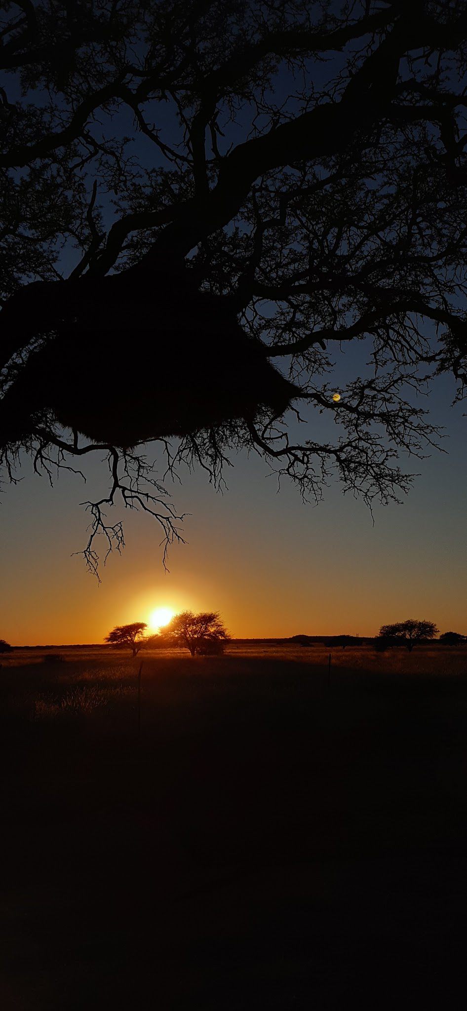  Benfontein Nature Reserve