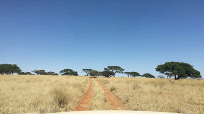  Benfontein Nature Reserve