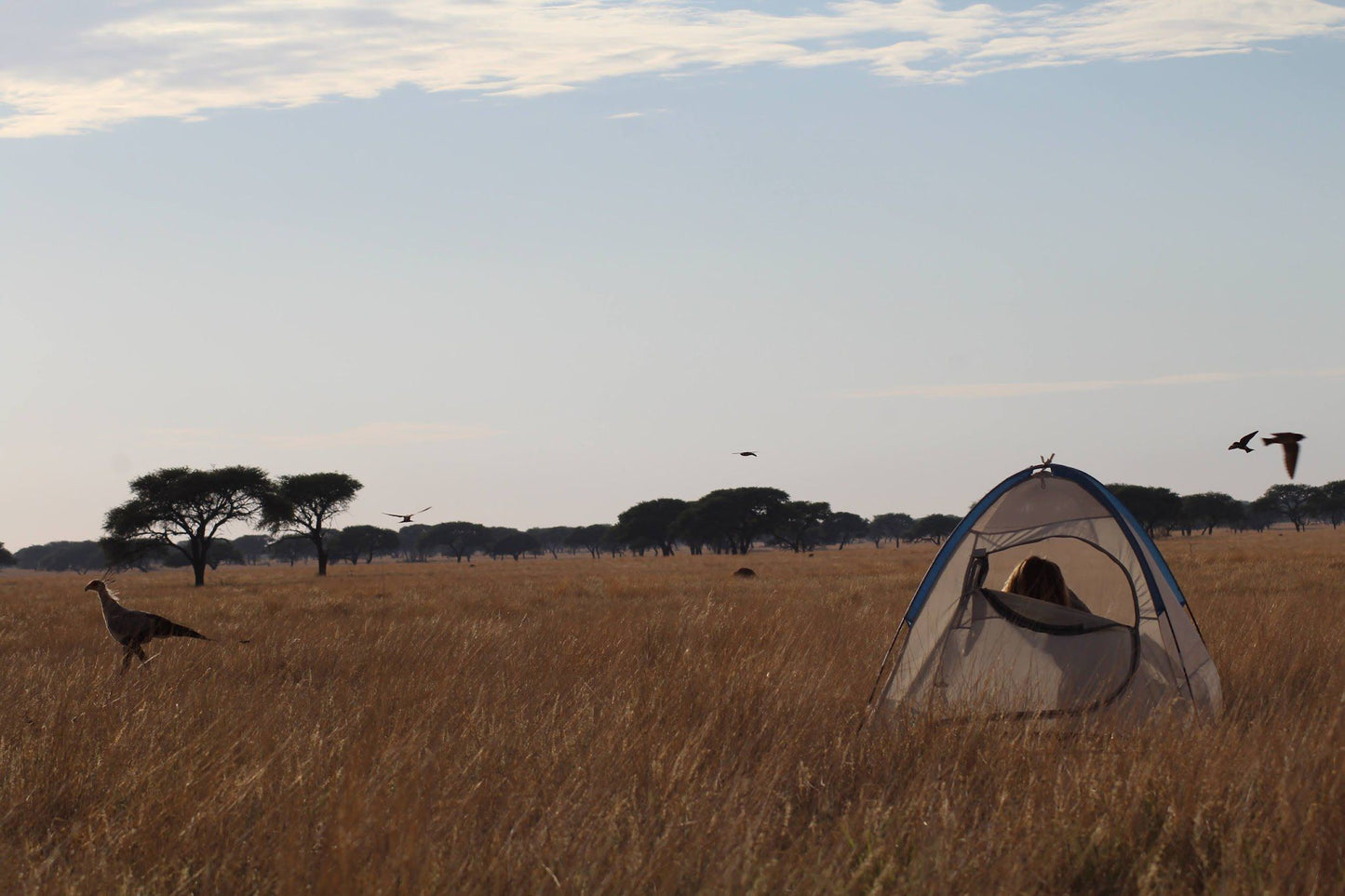  Benfontein Nature Reserve