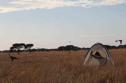  Benfontein Nature Reserve