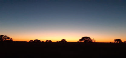  Benfontein Nature Reserve