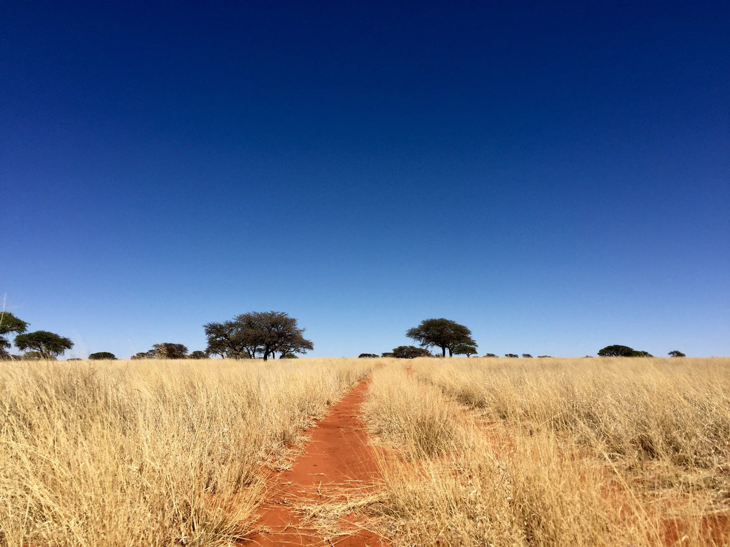  Benfontein Nature Reserve