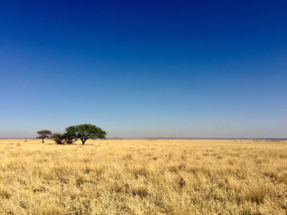  Benfontein Nature Reserve