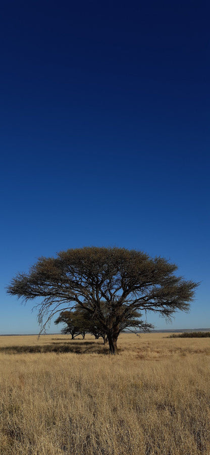  Benfontein Nature Reserve