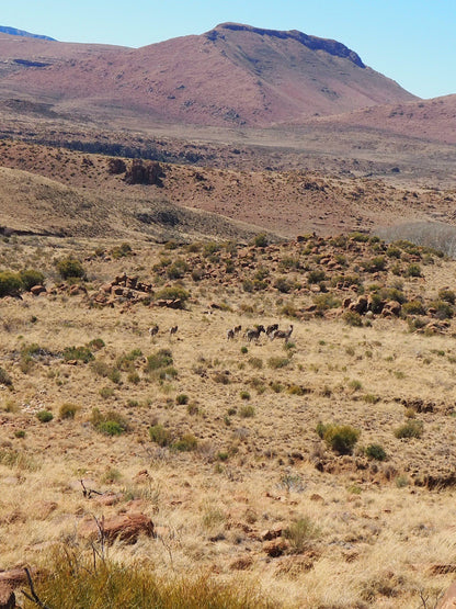  Bergplaas Nature Reserve