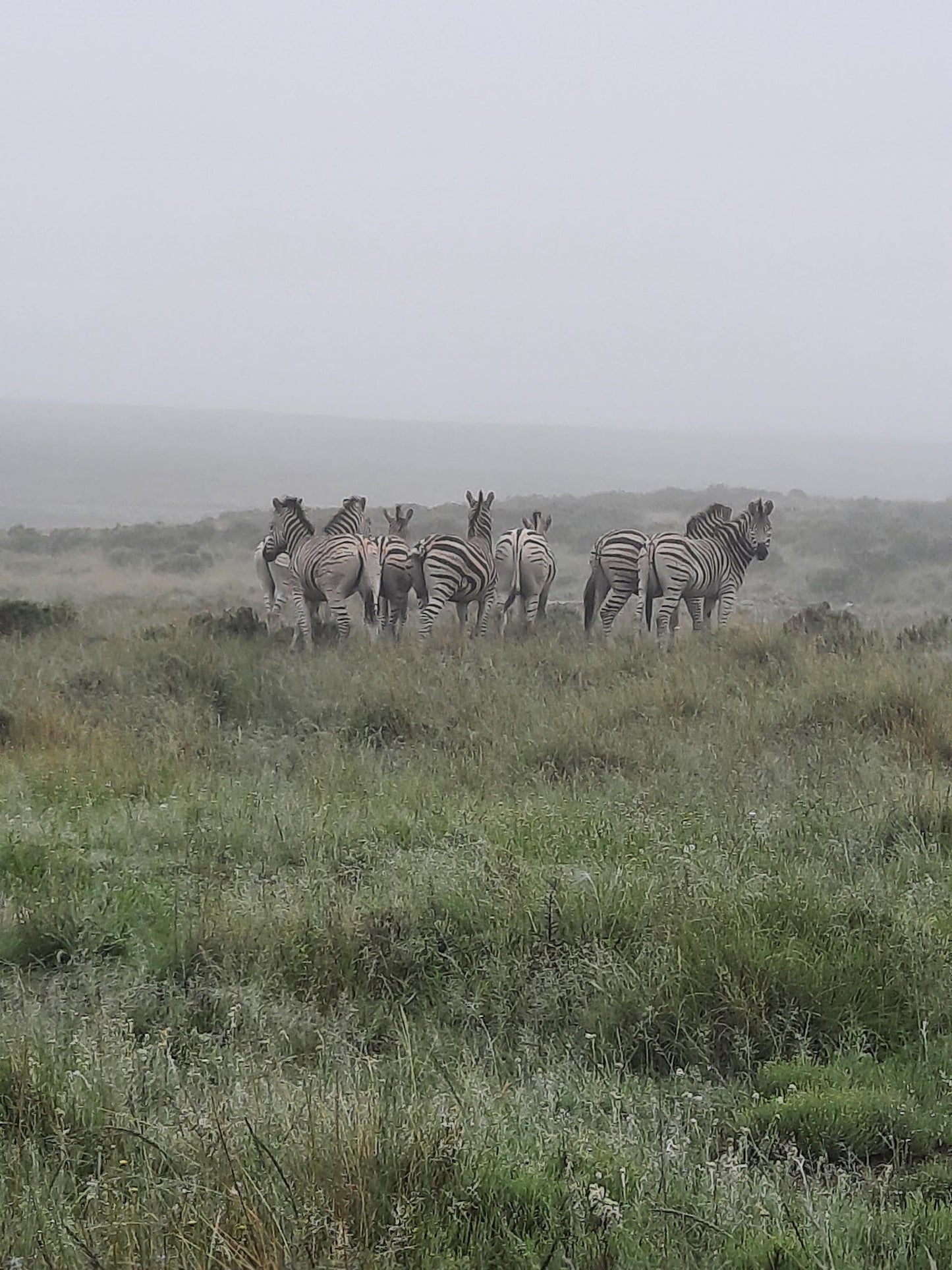  Bergplaas Nature Reserve