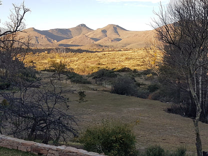  Bergplaas Nature Reserve