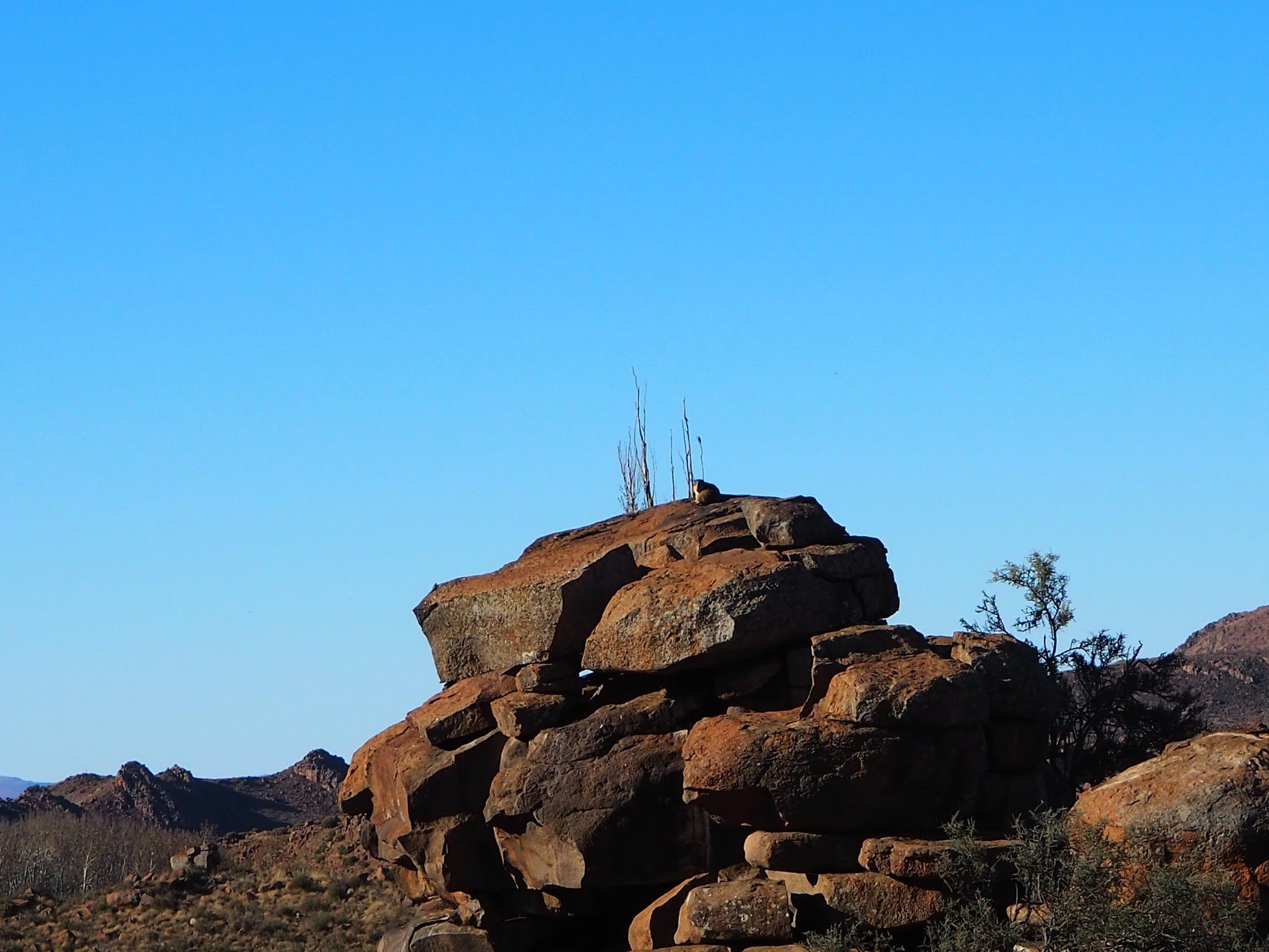  Bergplaas Nature Reserve