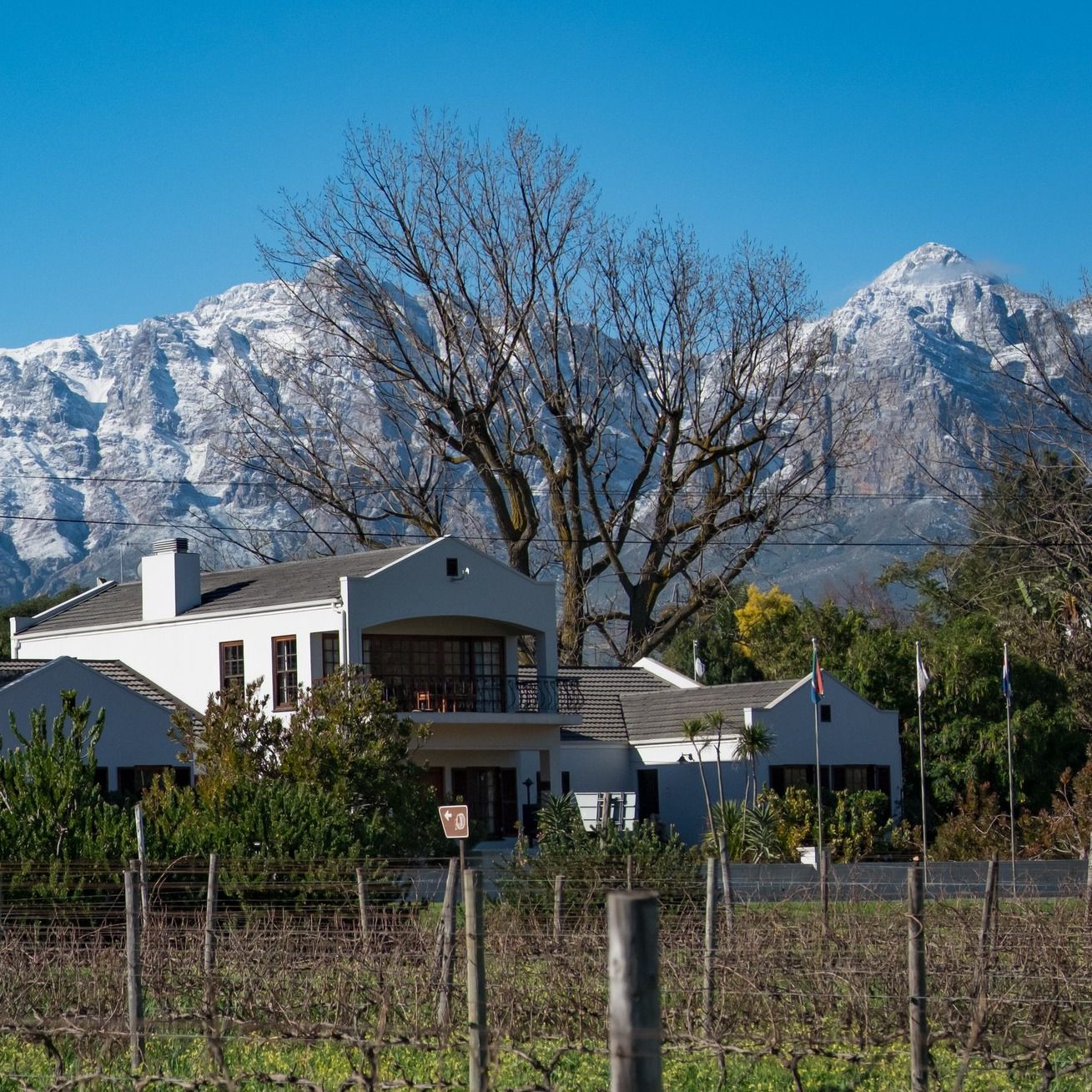  Bergsig Wine Estate