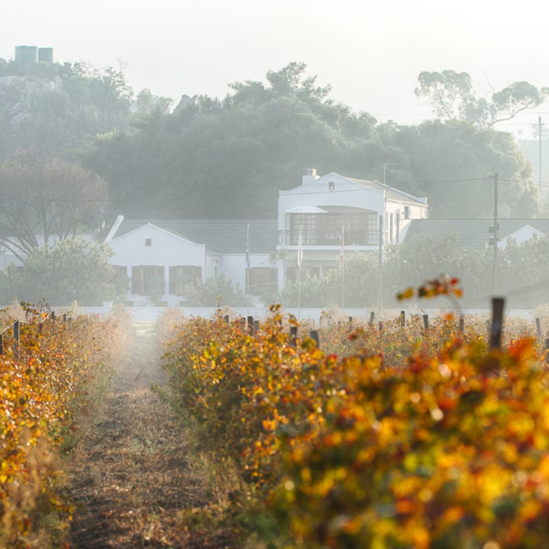  Bergsig Wine Estate