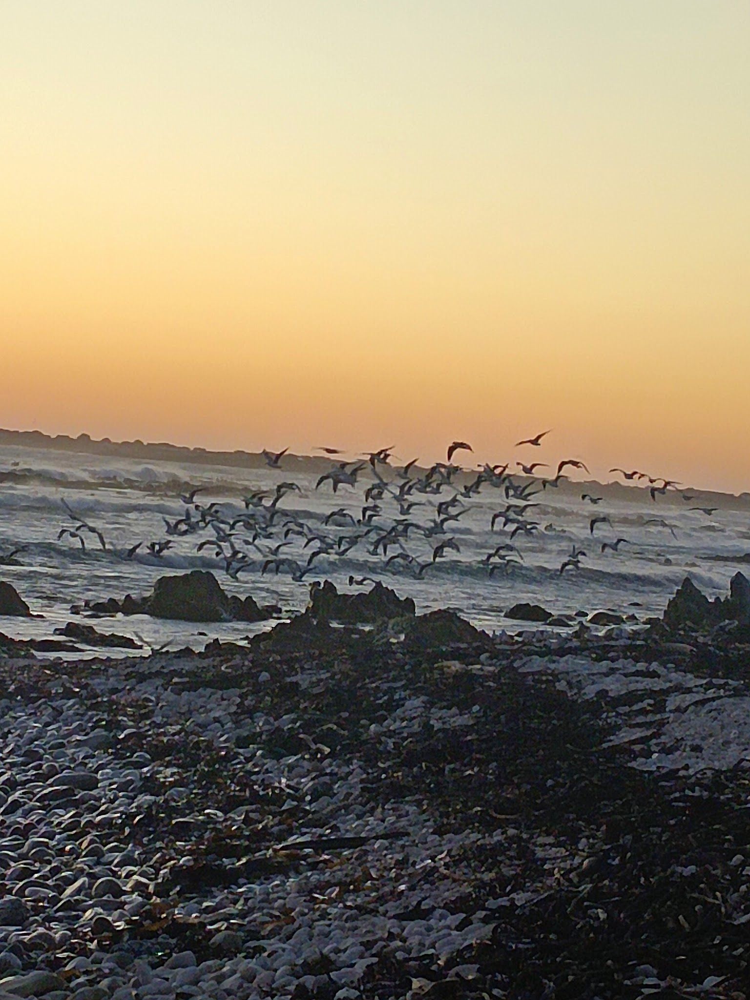  Betty's Bay Main Beach