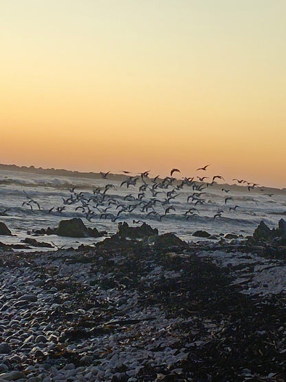  Betty's Bay Main Beach